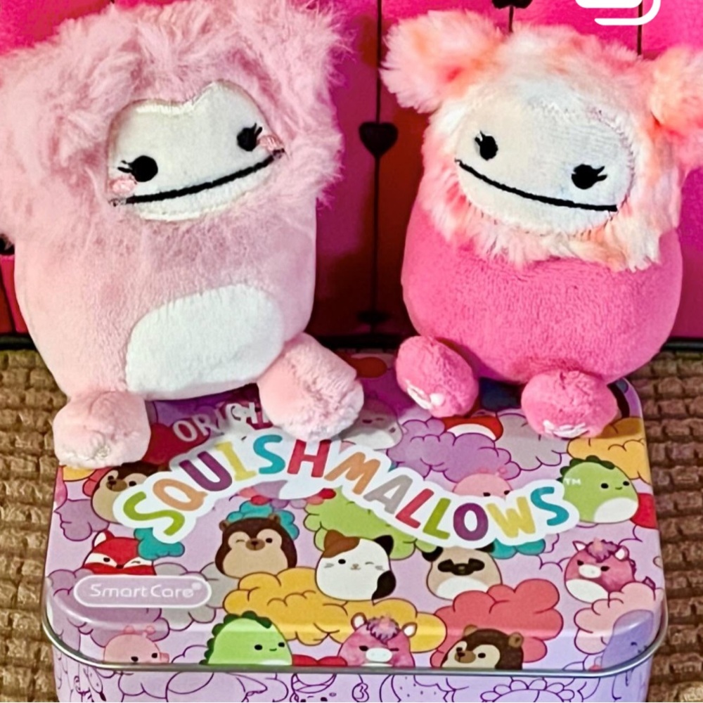 Hailey the Pink BIG FOOT SQUISHVILLE by Squishmallows 3” NWOT 💕🌸💐 - Picture 13 of 16